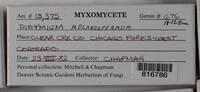 Image Associated With the Occurence